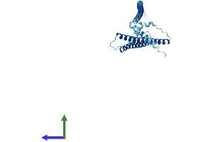 AlphaFold protein structure predicition of Mouse Recombinant Lztfl1 Protein, UniprotID Q9JHQ5