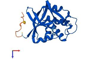 AlphaFold protein structure predicition of Mouse Recombinant Ggct Protein, UniprotID Q9D7X8