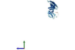 AlphaFold protein structure predicition of Mouse Recombinant Cog6 Protein, UniprotID Q8R3I3