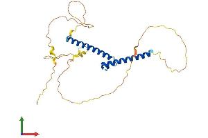 AlphaFold protein structure predicition of Human Recombinant OLIG3 Protein, UniprotID Q7RTU3