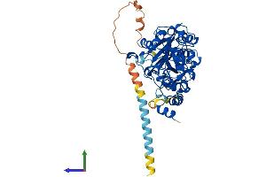 AlphaFold protein structure predicition of Mouse Recombinant Fut10 Protein, UniprotID Q5F2L2