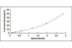 ELISA image for Plasminogen Activator, Tissue (PLAT) ELISA Kit (ABIN431279)