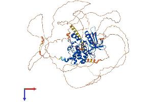AlphaFold protein structure predicition of Human Recombinant AAK1 Protein, UniprotID Q2M2I8