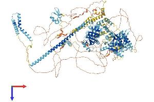 AlphaFold protein structure predicition of Mouse Recombinant Smarca4 Protein, UniprotID Q3TKT4