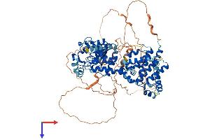 AlphaFold protein structure predicition of Mouse Recombinant Ptpdc1 Protein, UniprotID Q6NZK8