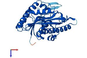 Pyridoxal Kinase (PDXK) (AA 1-312) protein (His tag)