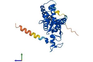 AlphaFold protein structure predicition of Mouse Recombinant Nsmce1 Protein, UniprotID Q9D720