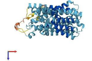 AlphaFold protein structure predicition of Human Recombinant SLC37A4 Protein, UniprotID O43826