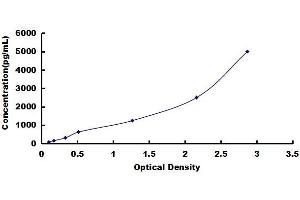Protein Phosphatase 2, Catalytic Subunit, alpha Isozyme (PPP2CA) ELISA Kit
