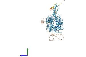 AlphaFold protein structure predicition of Human Recombinant ZNF615 Protein, UniprotID Q8N8J6