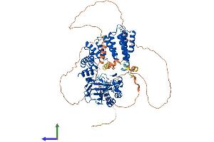 AlphaFold protein structure predicition of Mouse Recombinant Asph Protein, UniprotID Q8BSY0