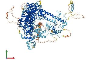AlphaFold protein structure predicition of Mouse Recombinant Polg Protein, UniprotID P54099