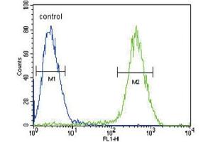 Flow Cytometry (FACS) image for anti-Cannabinoid Receptor 2 (CNR2) antibody (ABIN2995770) (CNR2 anticorps)