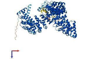 AlphaFold protein structure predicition of Mouse Recombinant Tnpo1 Protein, UniprotID Q8BFY9