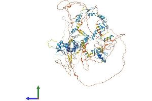 AlphaFold protein structure predicition of Mouse Recombinant Prdm10 Protein, UniprotID Q3UTQ7