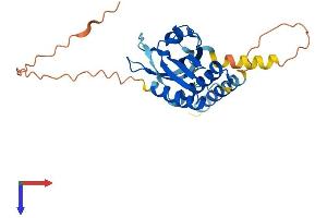 AlphaFold protein structure predicition of Human Recombinant RTP1 Protein, UniprotID P59025