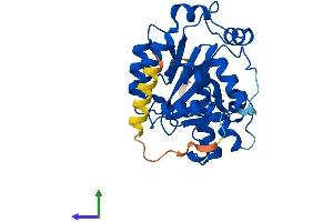 AlphaFold protein structure predicition of Mouse Recombinant Cnot8 Protein, UniprotID Q9D8X5