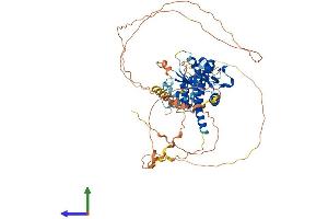 AlphaFold protein structure predicition of Human Recombinant DUSP8 Protein, UniprotID Q13202