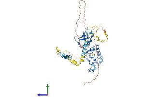 AlphaFold protein structure predicition of Human Recombinant SGCE Protein, UniprotID O43556