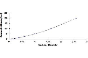 Typical standard curve (ADH6 Kit ELISA)