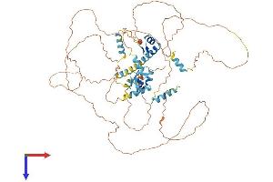 AlphaFold protein structure predicition of Human Recombinant ZMAT1 Protein, UniprotID Q5H9K5