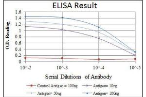 ELISA image for anti-Teratocarcinoma-Derived Growth Factor 1 (TDGF1) antibody (ABIN1846225) (TDGF1 anticorps)
