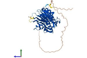AlphaFold protein structure predicition of Mouse Recombinant Noct Protein, UniprotID O35710