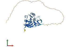 AlphaFold protein structure predicition of Mouse Recombinant Fbll1 Protein, UniprotID Q80WS3