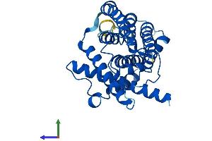 AlphaFold protein structure predicition of Mouse Recombinant Mtnd1 Protein, UniprotID P03888