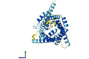 AlphaFold protein structure predicition of Human Recombinant SLC25A19 Protein, UniprotID Q9HC21