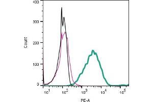 Cell surface detection of Tetraspanin 18 by indirect flow cytometry in live intact mouse P815 mastocytoma cell line: + goat-anti-rabbit-PE. (Tetraspanin 18 anticorps  (Extracellular))