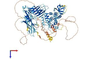 AlphaFold protein structure predicition of Mouse Recombinant Sh3bp4 Protein, UniprotID Q921I6