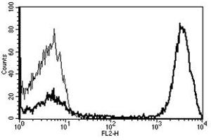 Flow Cytometry (FACS) image for anti-CD3 (CD3) antibody (PE) (ABIN1106247) (CD3 anticorps  (PE))