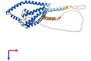 AlphaFold protein structure predicition of Mouse Recombinant Kcnk3 Protein, UniprotID O35111