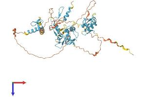 AlphaFold protein structure predicition of Human Recombinant FIZ1 Protein, UniprotID Q96SL8