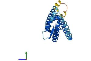 AlphaFold protein structure predicition of Human Recombinant TSPAN8 Protein, UniprotID P19075