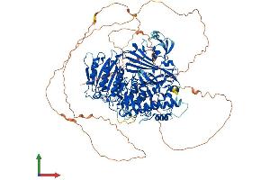AlphaFold protein structure predicition of Human Recombinant SEC24A Protein, UniprotID O95486