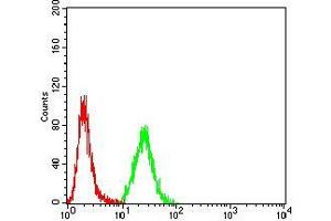 Flow cytometric analysis of Hela cells using KRT10 mouse mAb (green) and negative control (red).