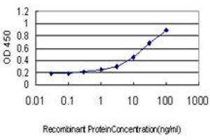 Detection limit for recombinant GST tagged TEK is approximately 0. (TEK anticorps  (AA 701-800))