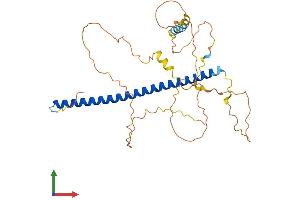 AlphaFold protein structure predicition of Human Recombinant JUNB Protein, UniprotID P17275