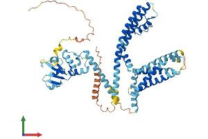 AlphaFold protein structure predicition of Human Recombinant KCNG4 Protein, UniprotID Q8TDN1