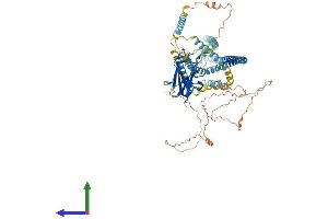AlphaFold protein structure predicition of Human Recombinant SUN2 Protein, UniprotID Q9UH99