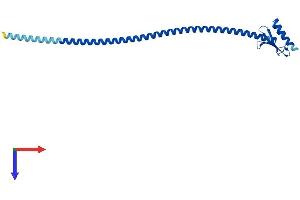 AlphaFold protein structure predicition of Mouse Recombinant Spc25 Protein, UniprotID Q3UA16