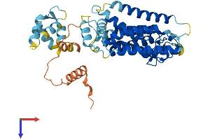 AlphaFold protein structure predicition of Mouse Recombinant Rhbdl3 Protein, UniprotID P58873
