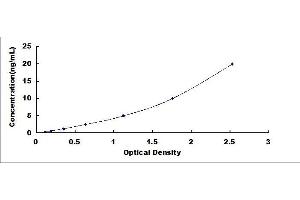 Typical standard curve