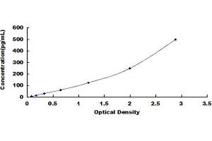 Typical standard curve (FASL Kit ELISA)