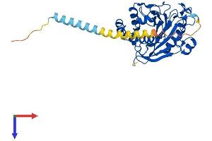 AlphaFold protein structure predicition of Mouse Recombinant B4galt4 Protein, UniprotID Q9JJ04