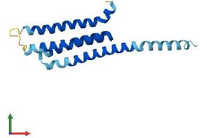 AlphaFold protein structure predicition of Mouse Recombinant Alox5ap Protein, UniprotID P30355