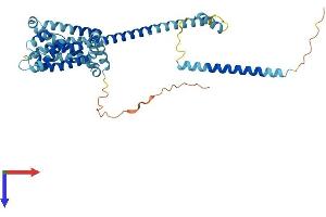 AlphaFold protein structure predicition of Human Recombinant CATSPER3 Protein, UniprotID Q86XQ3