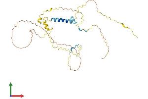 AlphaFold protein structure predicition of Human Recombinant MYOZ1 Protein, UniprotID Q9NP98